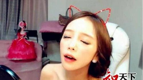 女主播韶姬ed2k,网络女主播的璀璨星途与情感纠葛